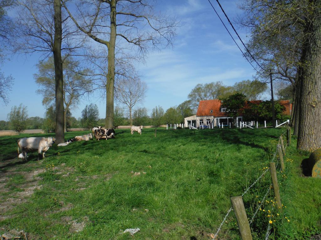 Hof Ter Langeleye Planke Casa de Férias
